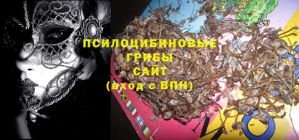 эйфоретик Михайлов