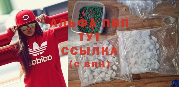 прущие грибы Михайловка