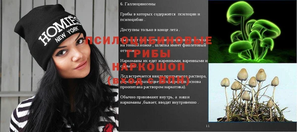 ПСИЛОЦИБИНОВЫЕ ГРИБЫ Михайловск