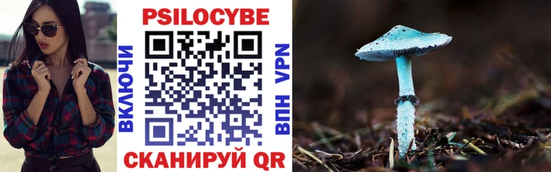 Псилоцибиновые грибы мухоморы Берёзовский